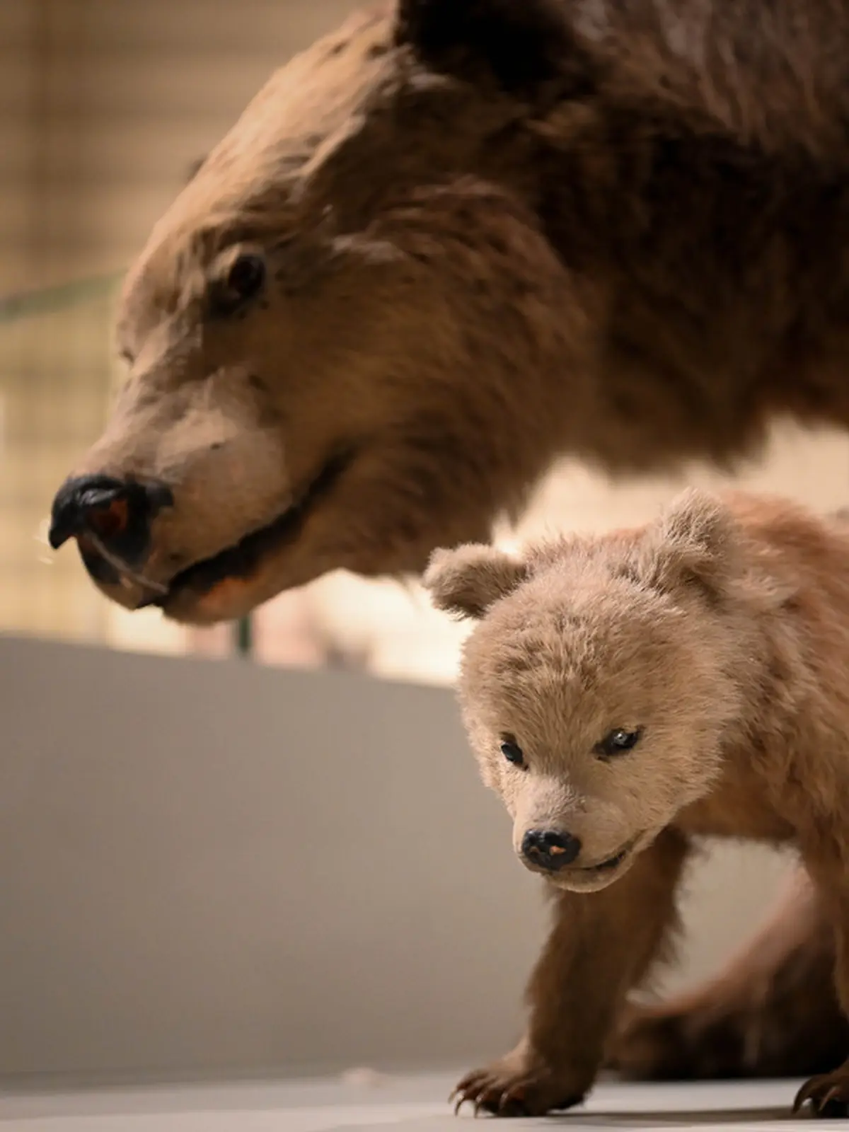 Visite flash contée Le premier printemps de Bertille