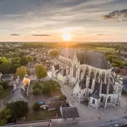 Visite flash de la Basilique Notre-Dame de Cléry