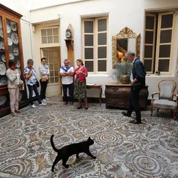 Visite Flash de la Maison Sentex