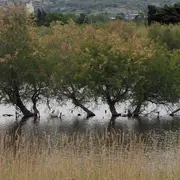 Visite flash Entre terre et mares