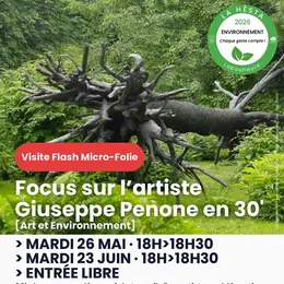 Visite Flash : Giuseppe Penone : la relation entre Homme et Nature