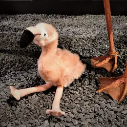 Visite flash Le premier été de Rosie