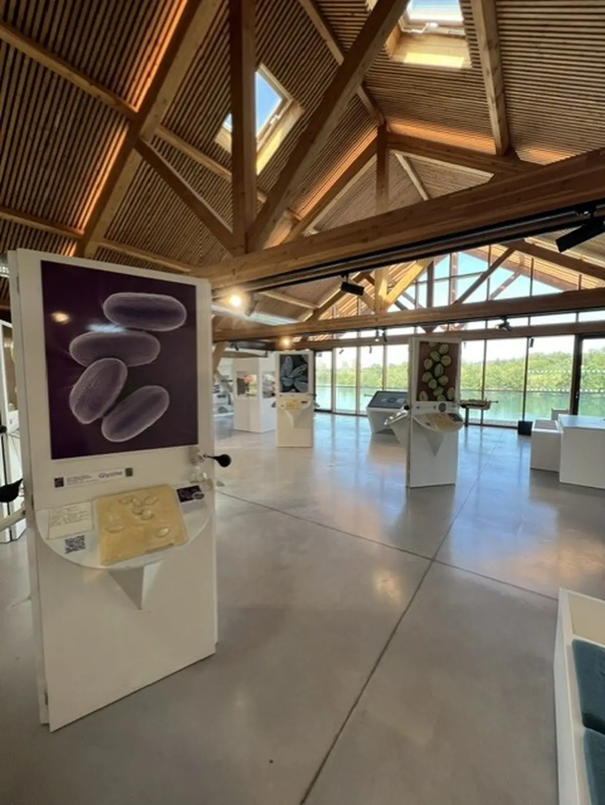 Visite Guidée