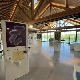 Visite Guidée
