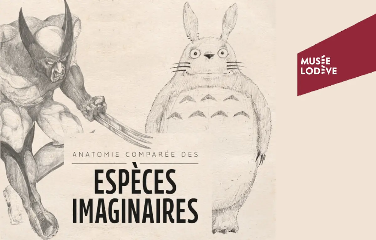 Visite Guidée 1er Dimanche Du Mois :  Anatomie Comparée Des Espèces Imaginaires