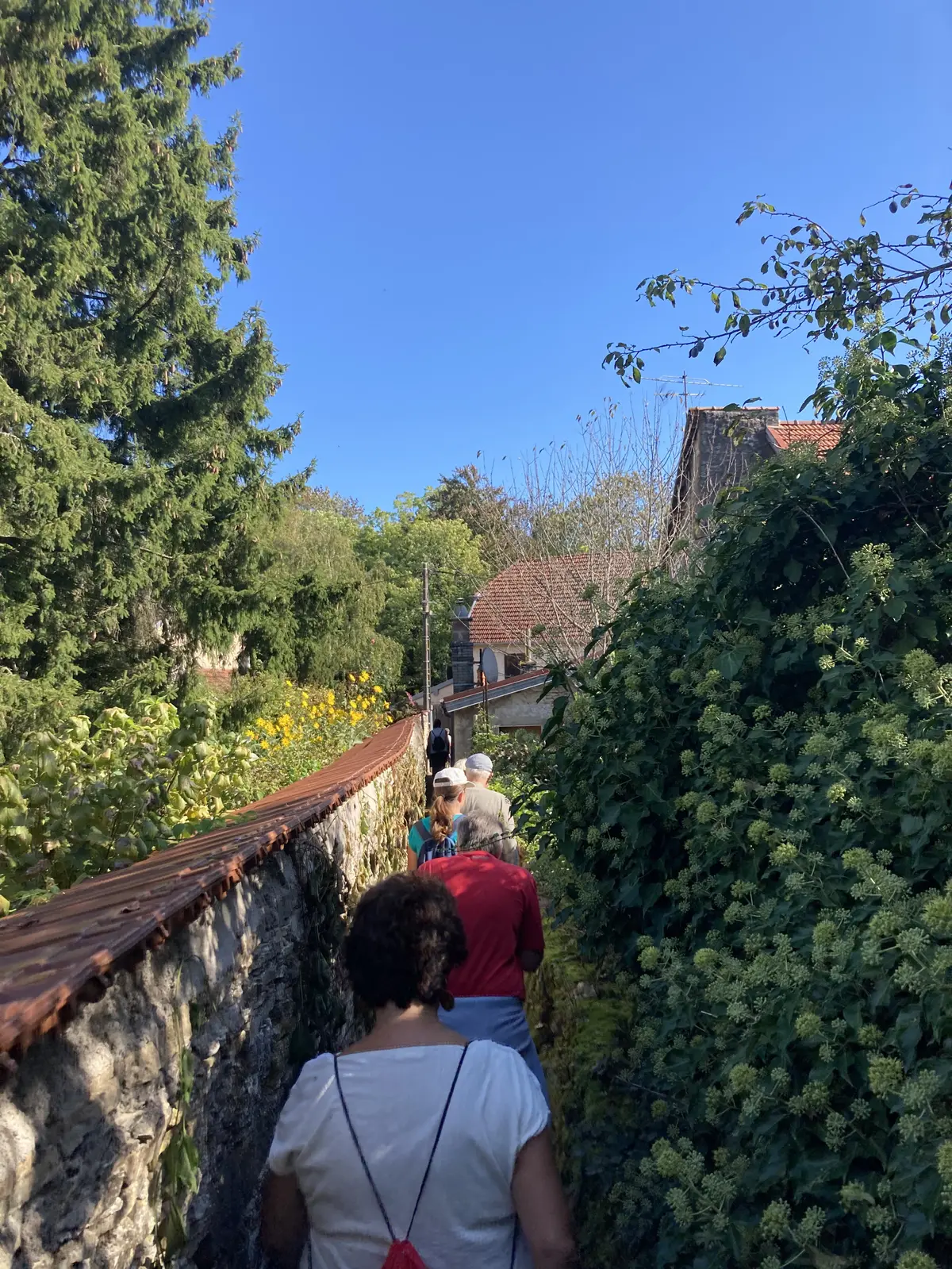 Visite guidée