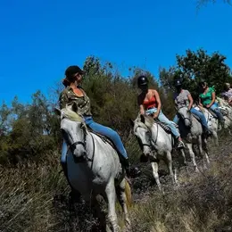 Visite guidée à cheval de la manade Coule