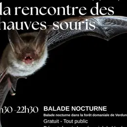 Visite guidée 'A la rencontre des chauves-souris '