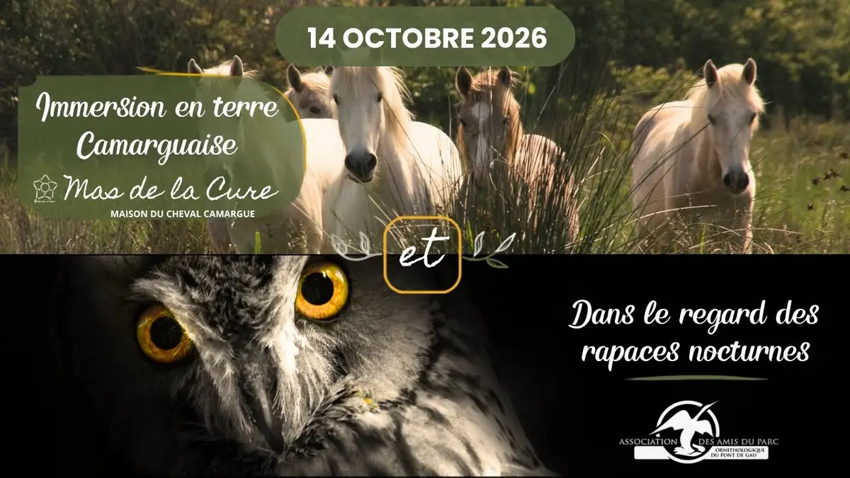 Visite guidée à la rencontre des juments, conférence et lâcher d'oiseaux