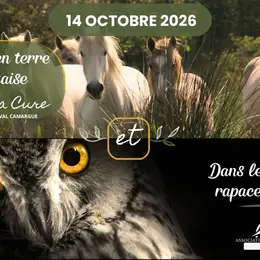 Visite guidée à la rencontre des juments, conférence et lâcher d'oiseaux