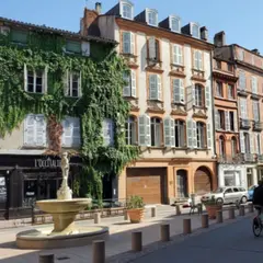 Visite guidée à Toulouse (31)