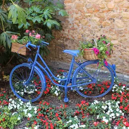 Visite Guidée à Vélo