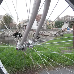 Visite guidée à vélo Niort à vélo, le centre historique et ses 4 Monuments Classés !