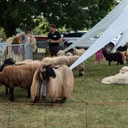 Visite guidée agriculture et biodiversité