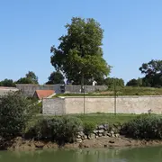 Visite guidée : Au coeur des Casemates parcours petit Bayonne