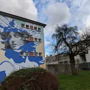 Visite guidée autour du street art à Laon (quartier Montreuil)