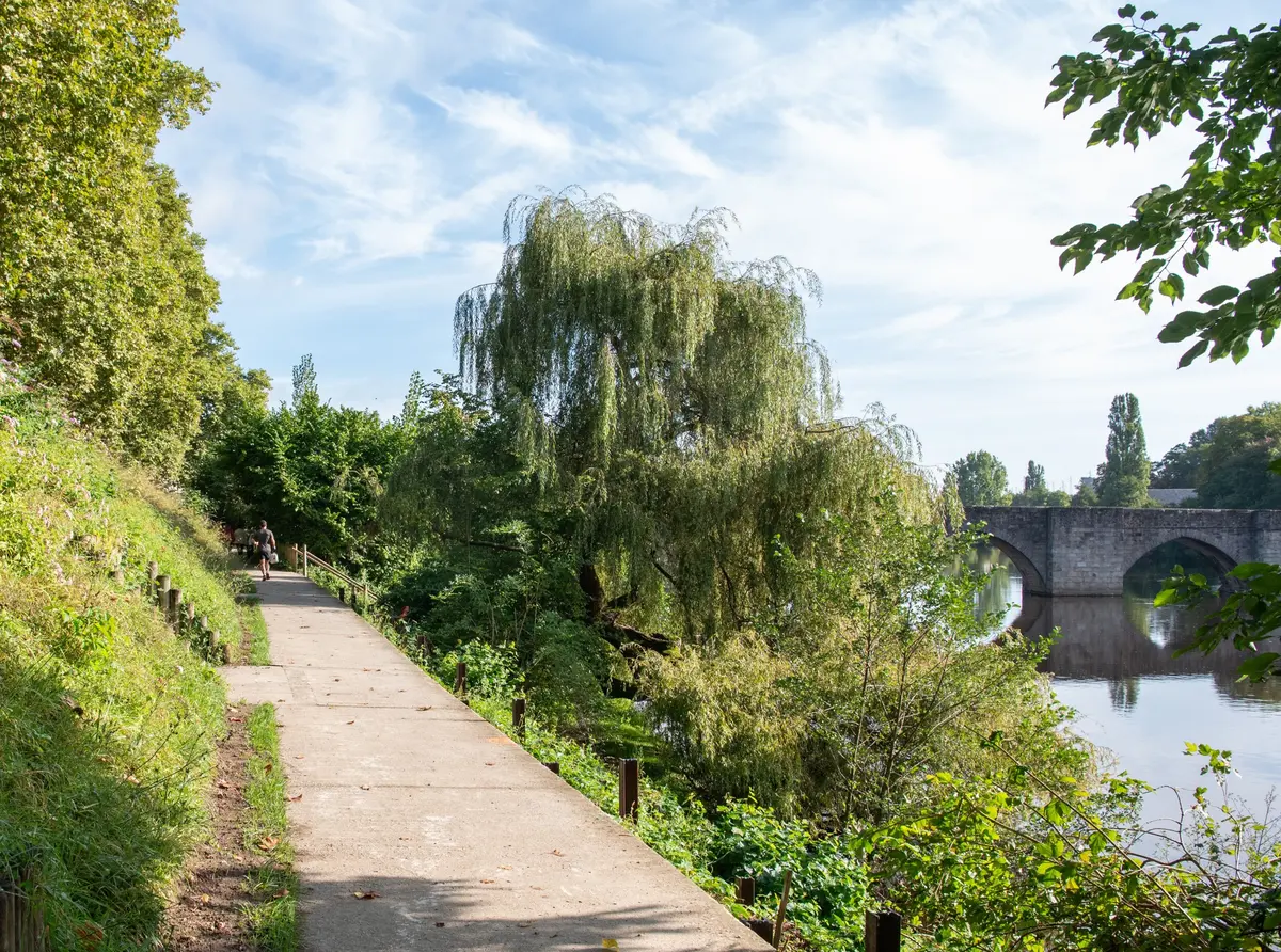Visite guidée- Balade en bords de Vienne