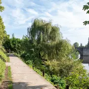 Visite guidée- Balade en bords de Vienne