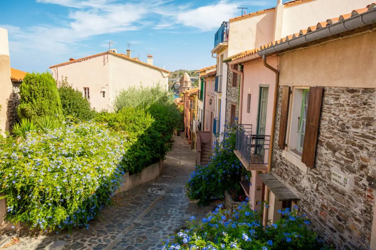 Visite Guidée Collioure Insolite