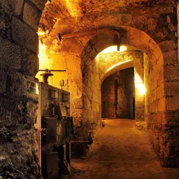 Visite guidée dans les coulisses de l'histoire au Château royal d'Amboise