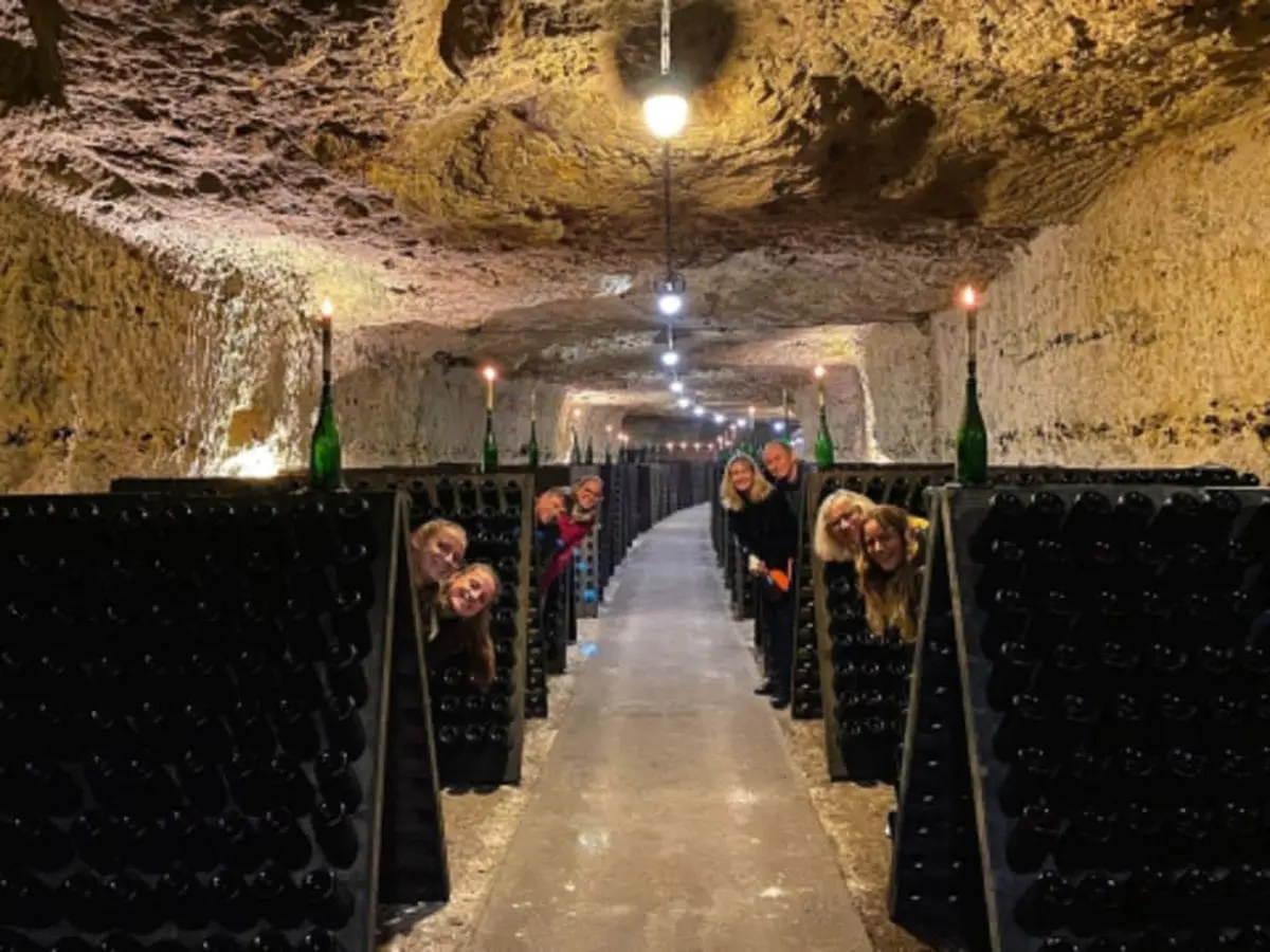 Visite guidée dans les vignobles et dégustations (37)