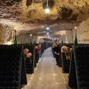 Visite guidée dans les vignobles et dégustations (37)