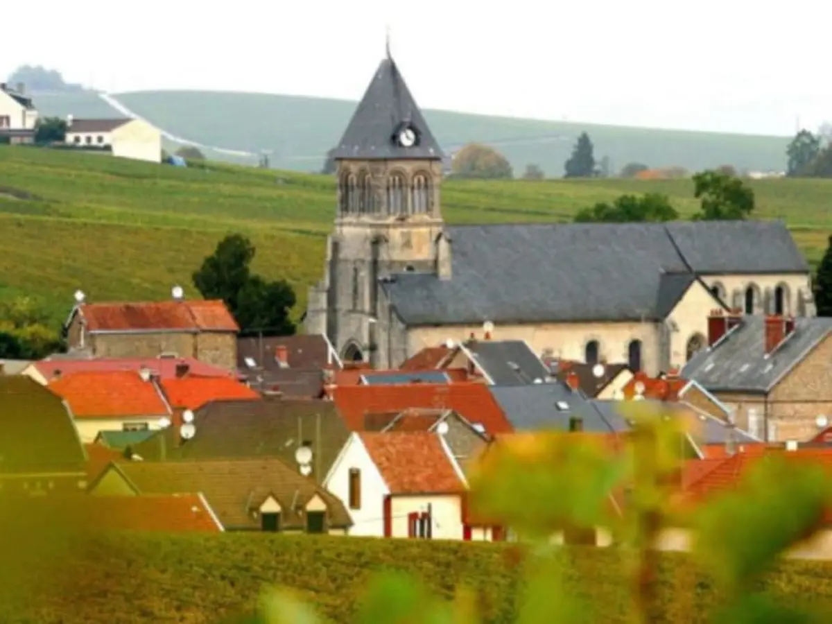 Visite guidée de 2 jours dans le  Vignoble de Champagne (51)