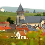 Visite guidée de 2 jours dans le  Vignoble de Champagne (51)