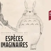 Visite guidée De L’expo « Anatomie Comparée Des Espèces Imaginaires »