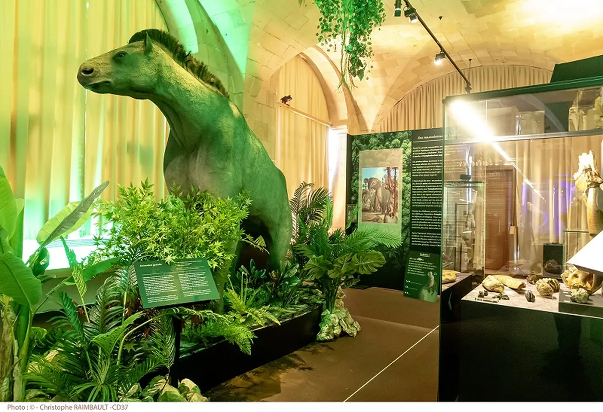 Visite guidée de l'exposition La Touraine Tropicale