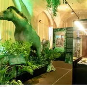 Visite guidée de l'exposition La Touraine Tropicale