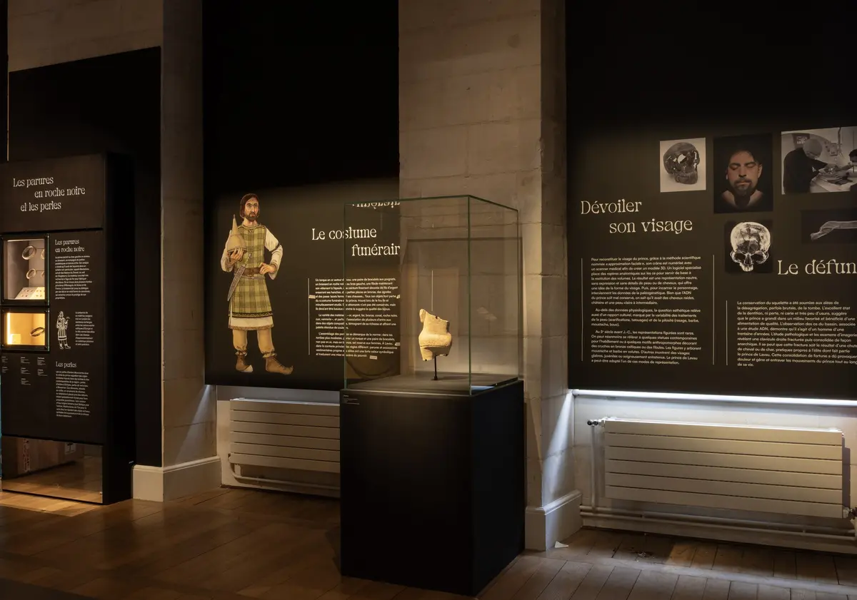 Visite guidée de l'exposition Lavau, Un prince celte en bord de Seine