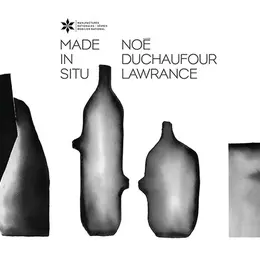 Visite guidée de l'exposition Made in Situ de Noé Duchaufour-Lawrance à la Galerie des Gobelins