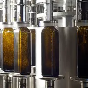 Visite Guidée De L'Huilerie Moog