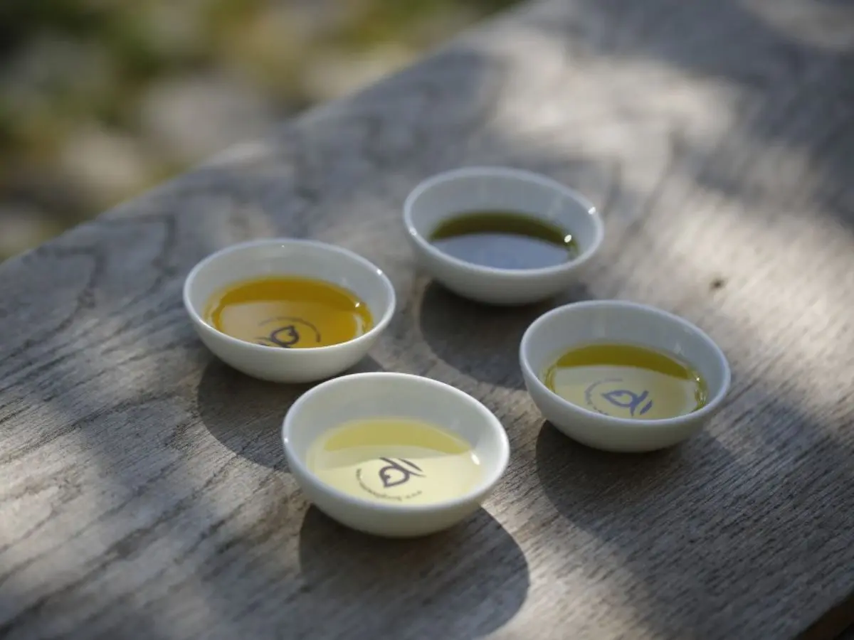 Visite Guidée De L'Huilerie Moog