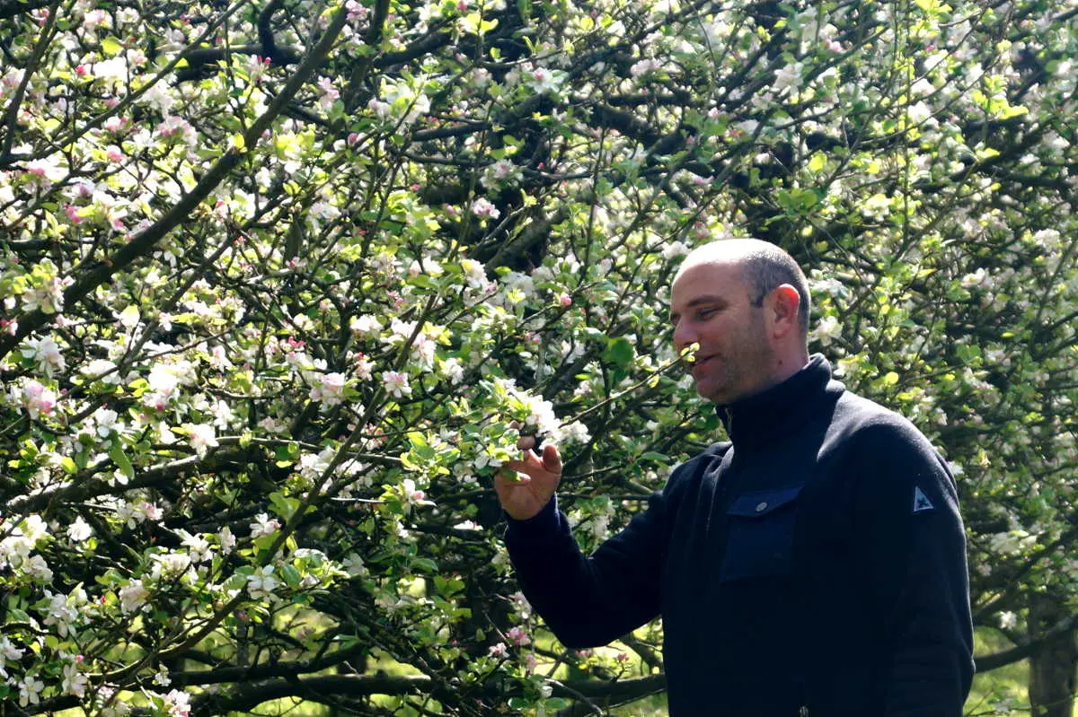 Visite guidée de la cidrerie du Domaine de Rugueville