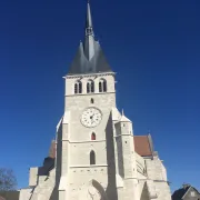Visite guidée de la Collégiale