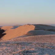 Visite guidée de la Dune du Pilat