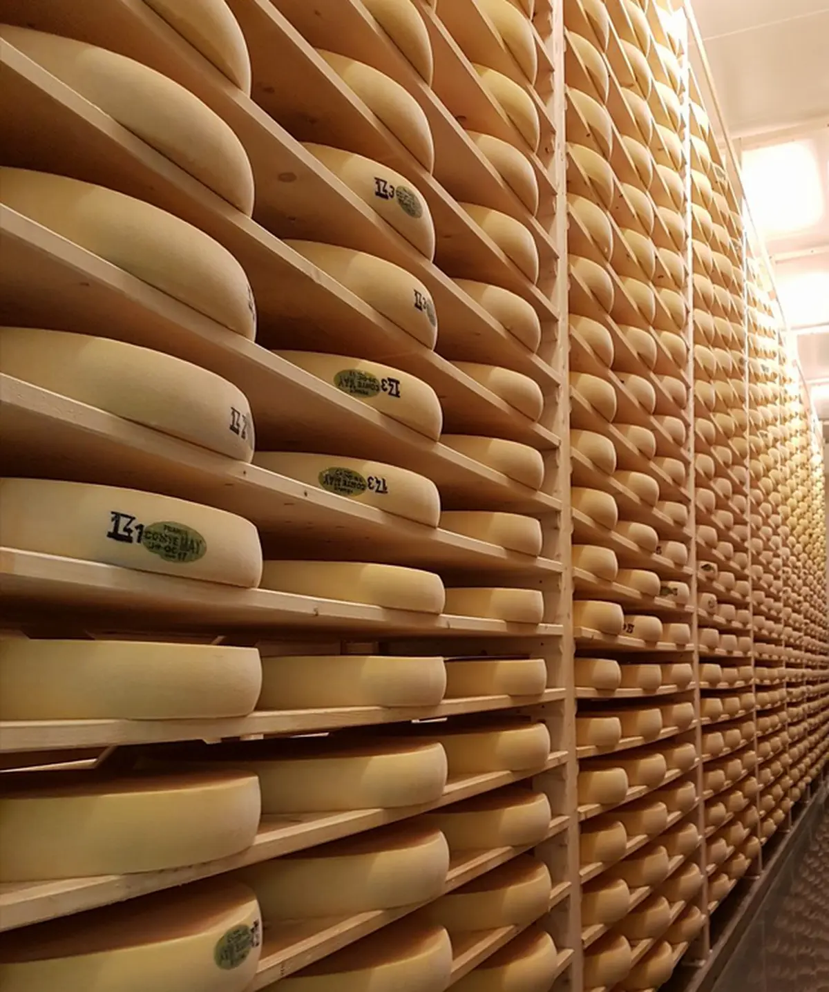 Visite guidée de la fruitière du Pays Grandvallier