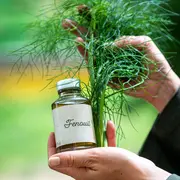Visite guidée de la Maison Ferroni