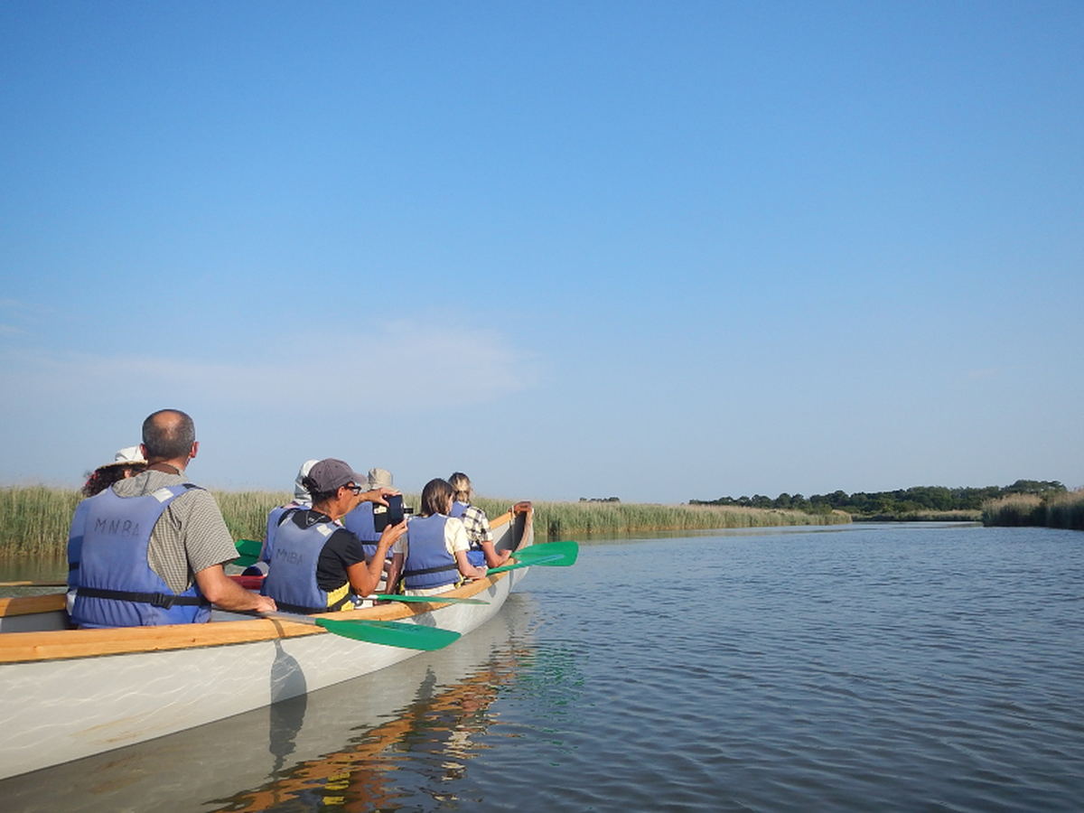 Visite guidée de la réserve ornithologique à pied et de son delta en canoë collectif