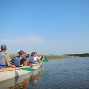 Visite guidée de la réserve ornithologique à pied et de son delta en canoë collectif