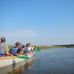 Visite guidée de la réserve ornithologique à pied et de son delta en canoë collectif