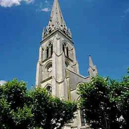 Visite guidée de la rive droite de Montmorillon
