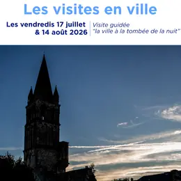 Visite guidée de la ville à la tombée de la nuit