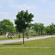 Visite guidée de Metz - le parc de la Seille Jean-Marie Pelt