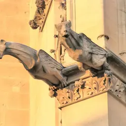 Visite guidée de Metz - Sorcières et animaux maléfiques - visite famille