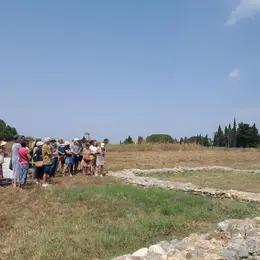 Visite Guidée De Ruscino