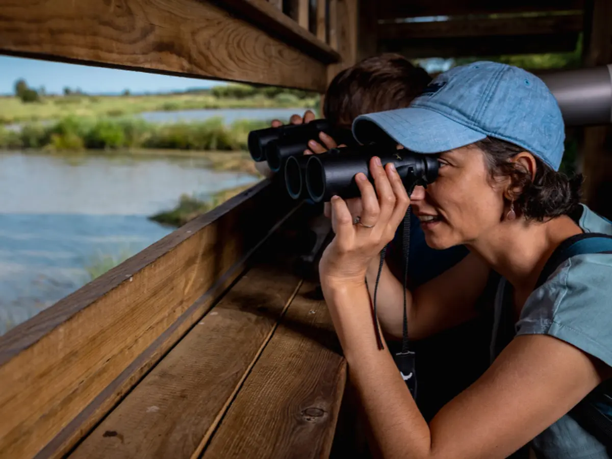 Visite guidée de Terres d'Oiseaux