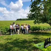 Visite guidée découverte des vins de Loire à Vouvray (37)